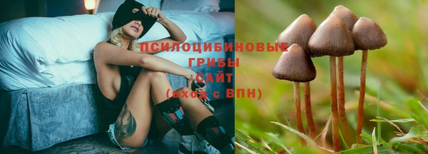 трава Алзамай