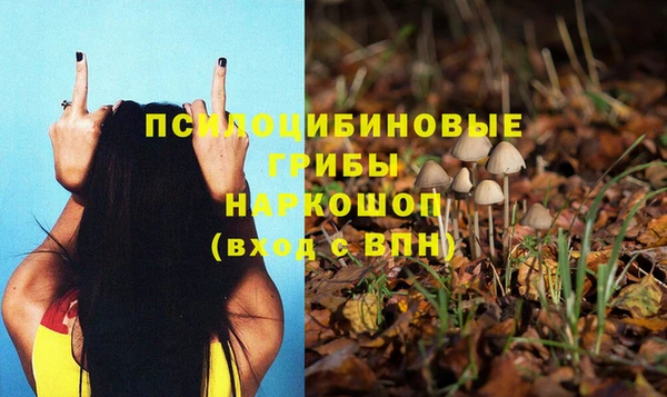 стафф Алексин