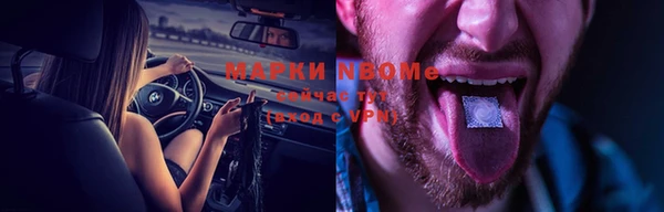 стафф Алексин