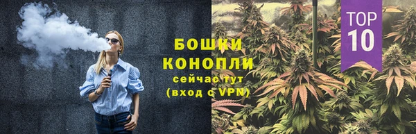 трава Алзамай