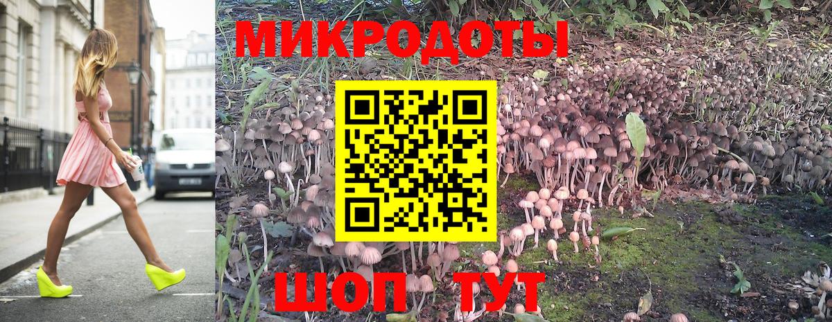 Псилоцибиновые грибы Psilocybe Добрянка