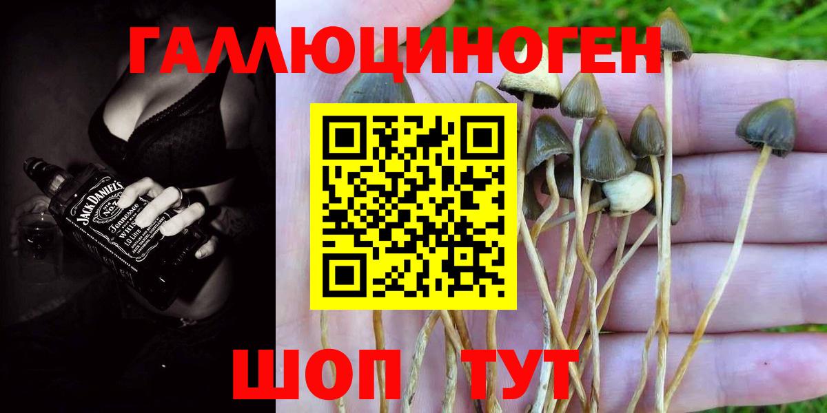 Галлюциногенные грибы Cubensis  Вход с VPN  Добрянка 